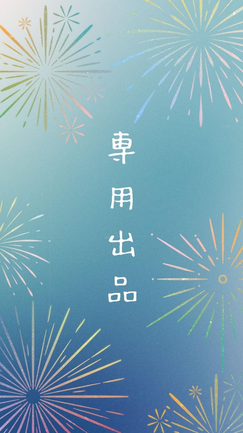⭐️たいしさん専用出品⭐️